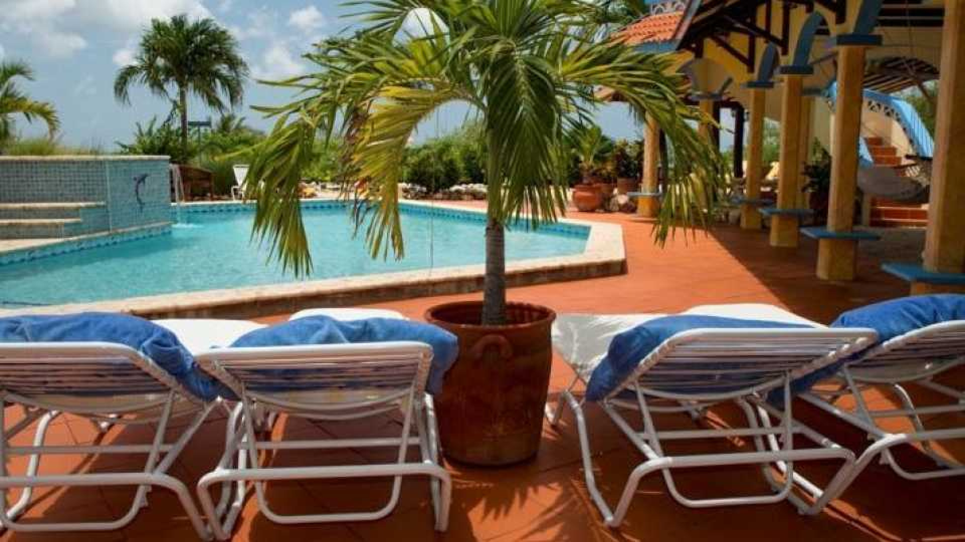 Nicolette Kluijver koopt resort op Bonaire. Zie foto's 3