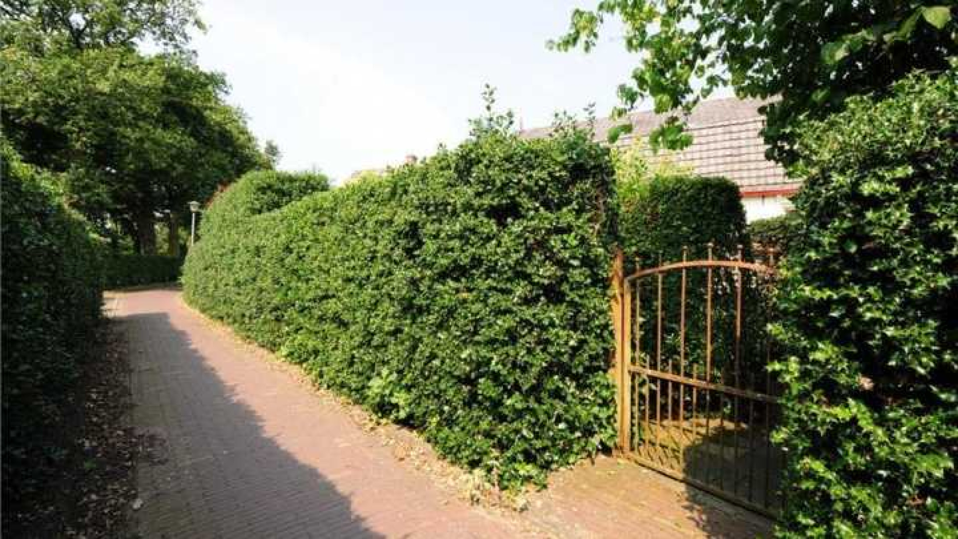 Rik Felderhof koopt zijn eigen Villa Felderhof in Blaricum. Zie foto's  5