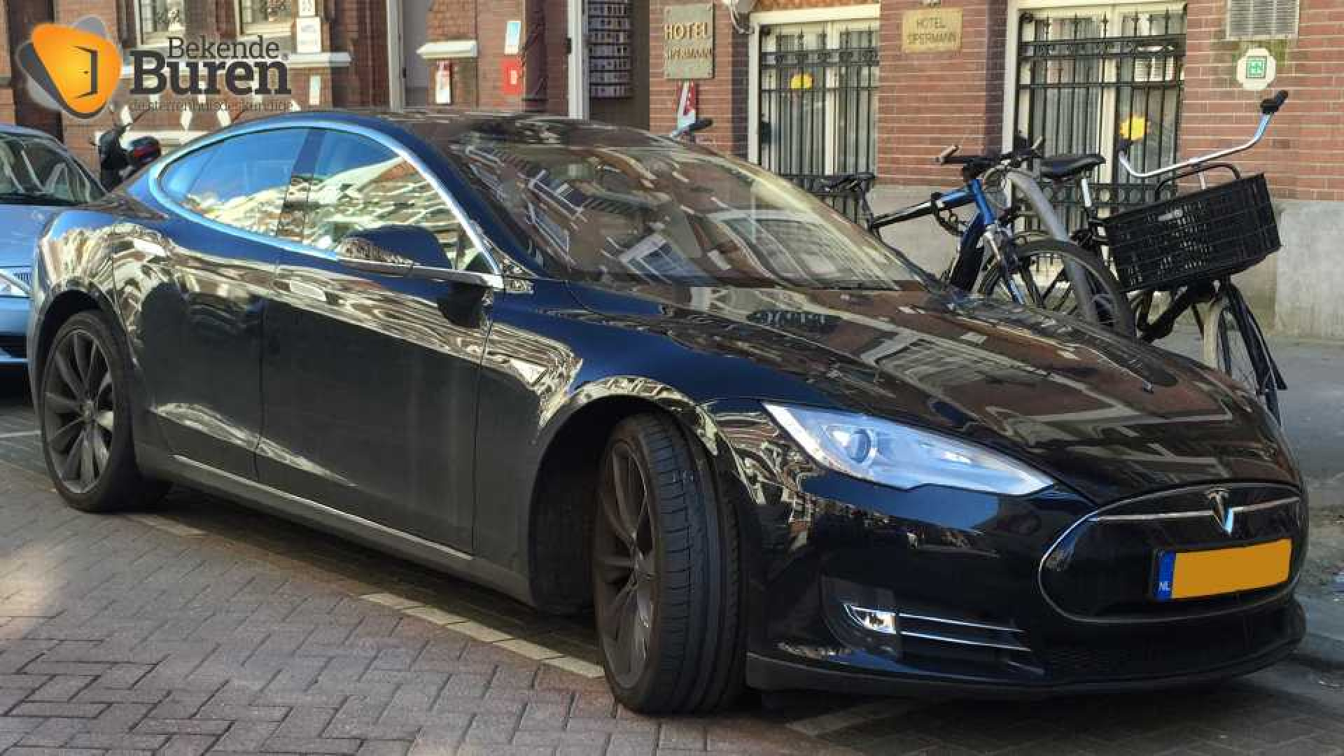 Tesla van Lieke van Lexmond 1