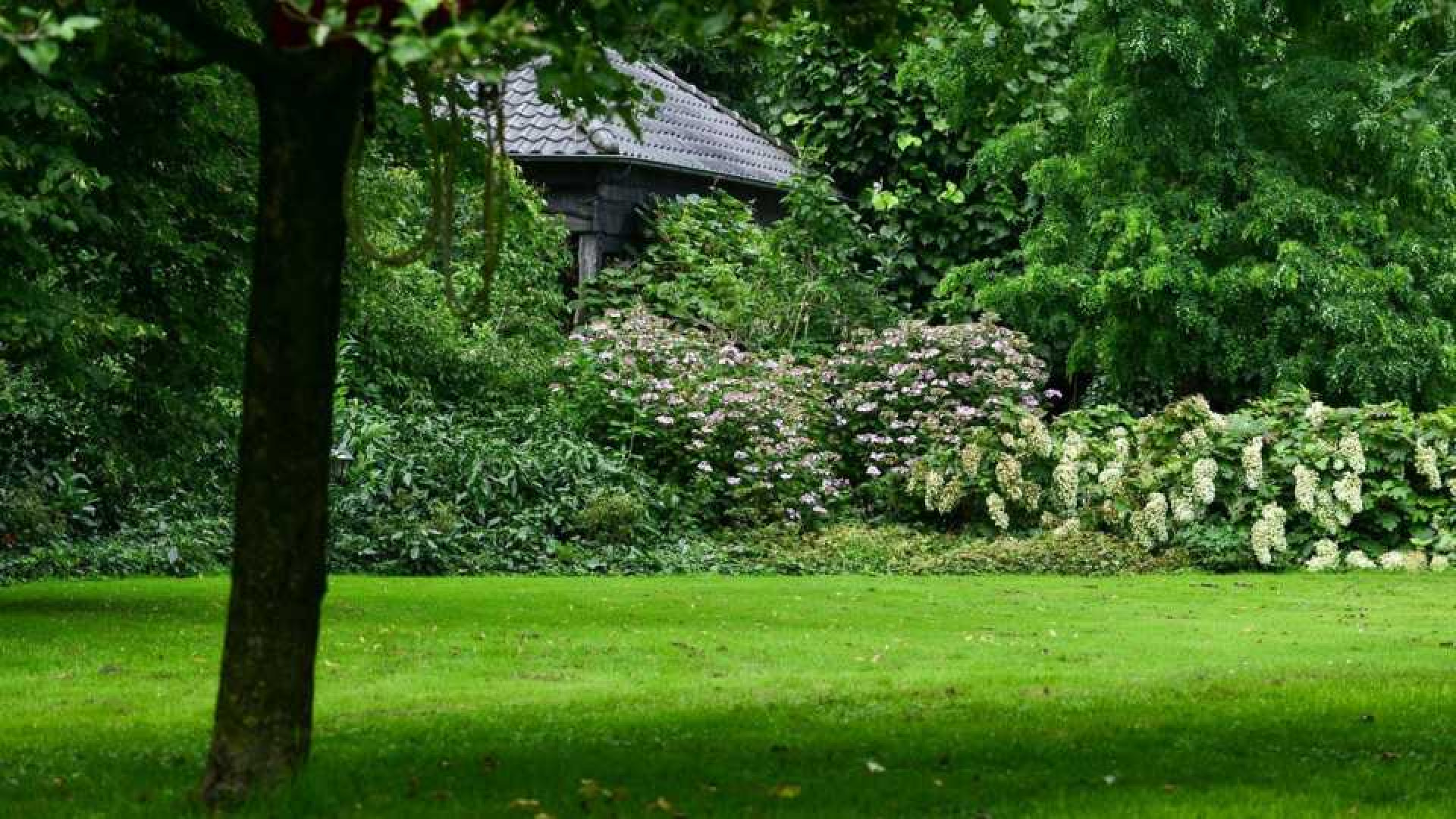 Prinses Irene zet haar prachtige landhuis in Wijk bij Duurstede te koop. Zie foto's 11