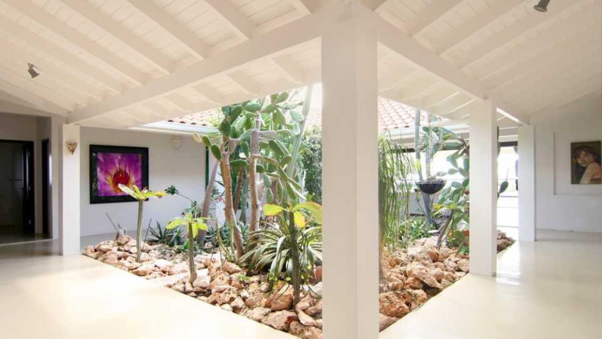Barry Hay verlaagt vraagprijs van zijn miljoenen villa op Curacao. Zie foto's 9