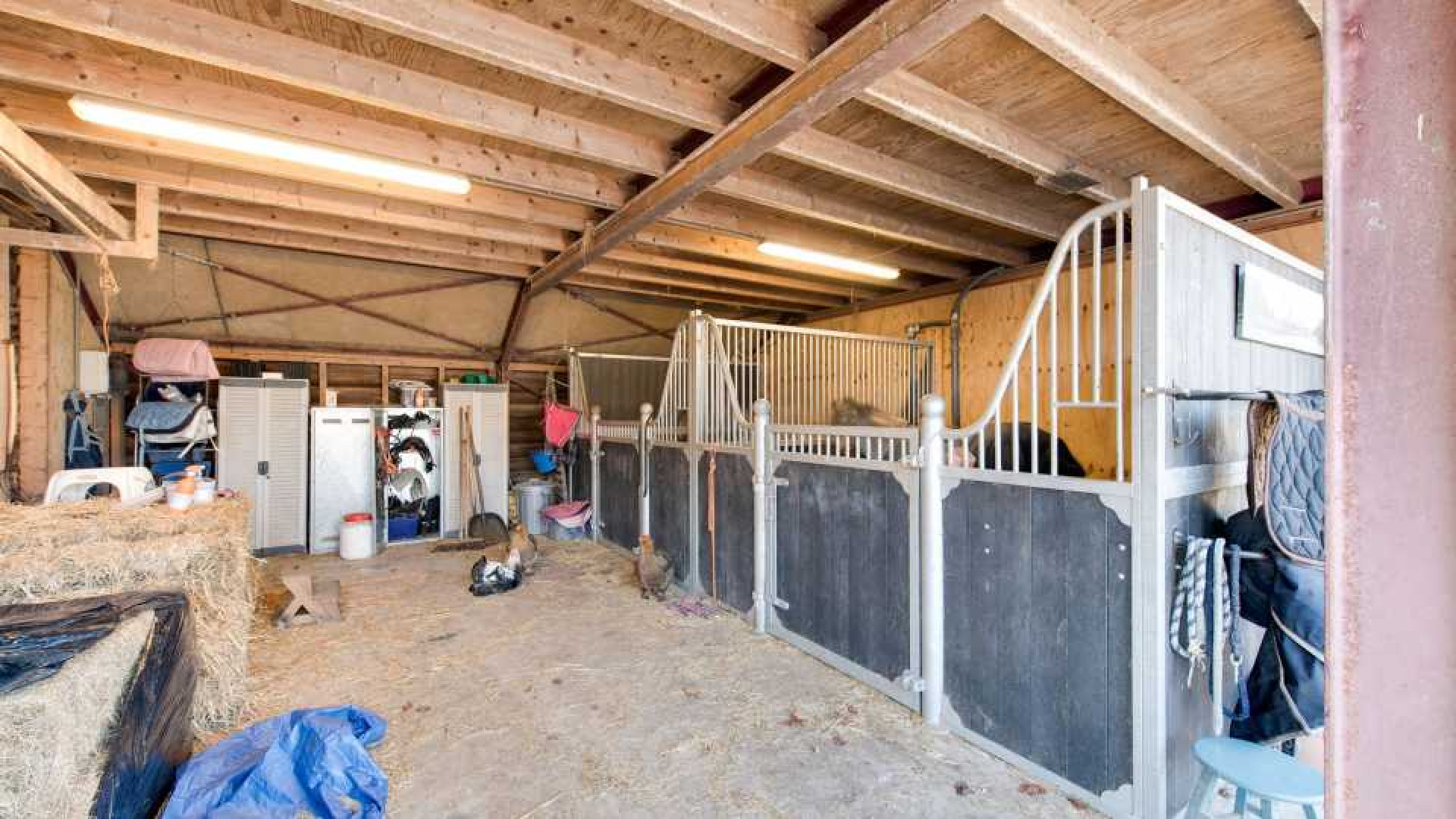 Oud SBS baas zet zijn luxe woonboerderij te koop. Zie foto's 6