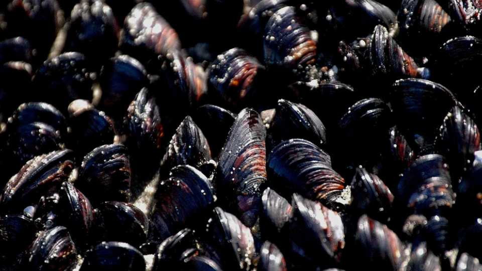 Deze supermarkt keten wil eigen zeeboerderij 1