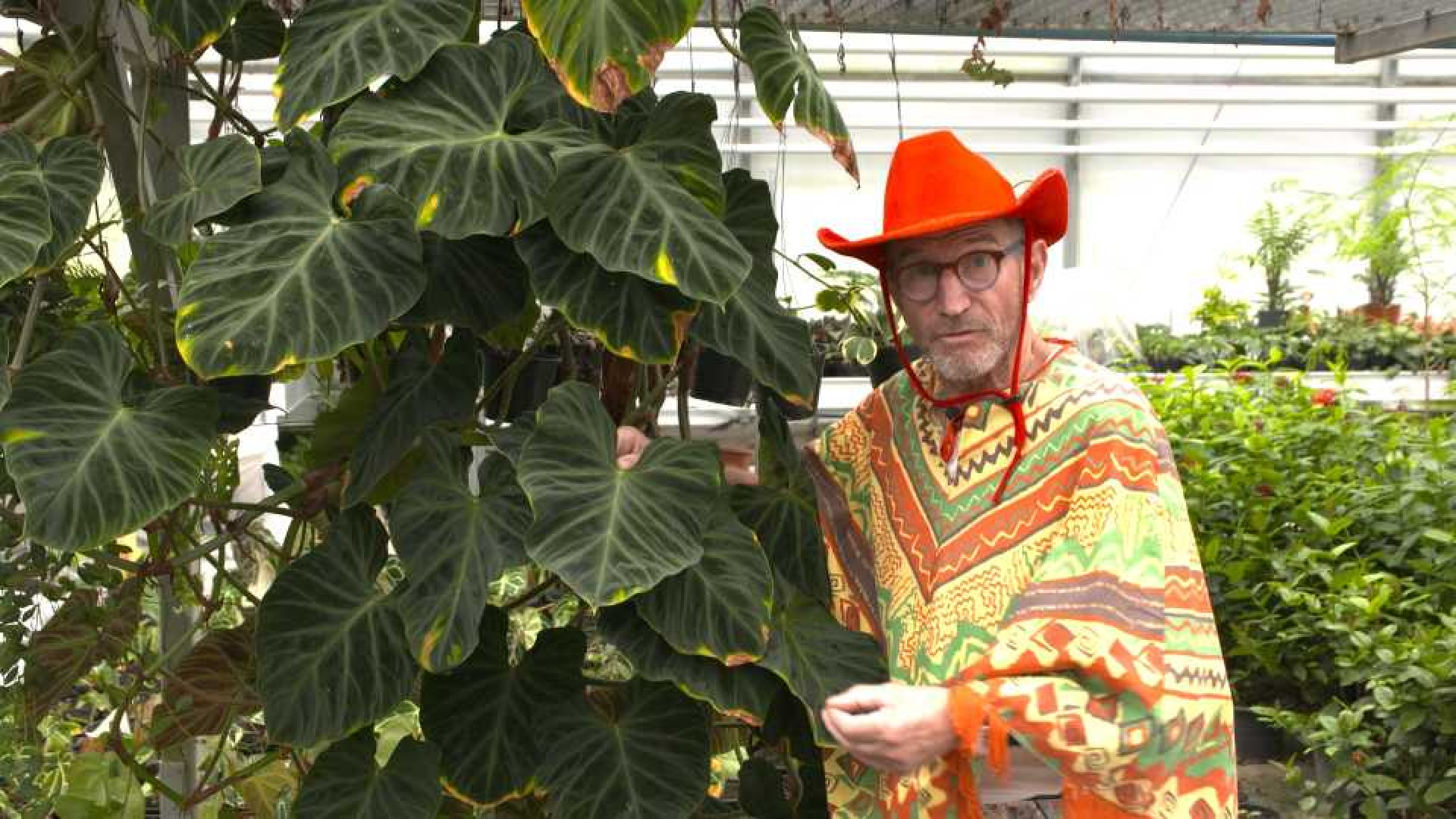 Wil jij ook een GRATIS boeket bloemen hebben van tuinman Rob Verlinden? Zie video