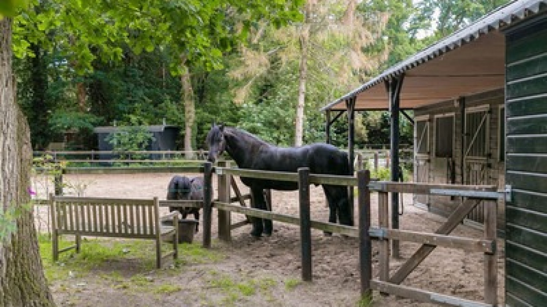 Zo maakte Leonie ter Braak haar villa verkoop klaar. Zie foto's 19