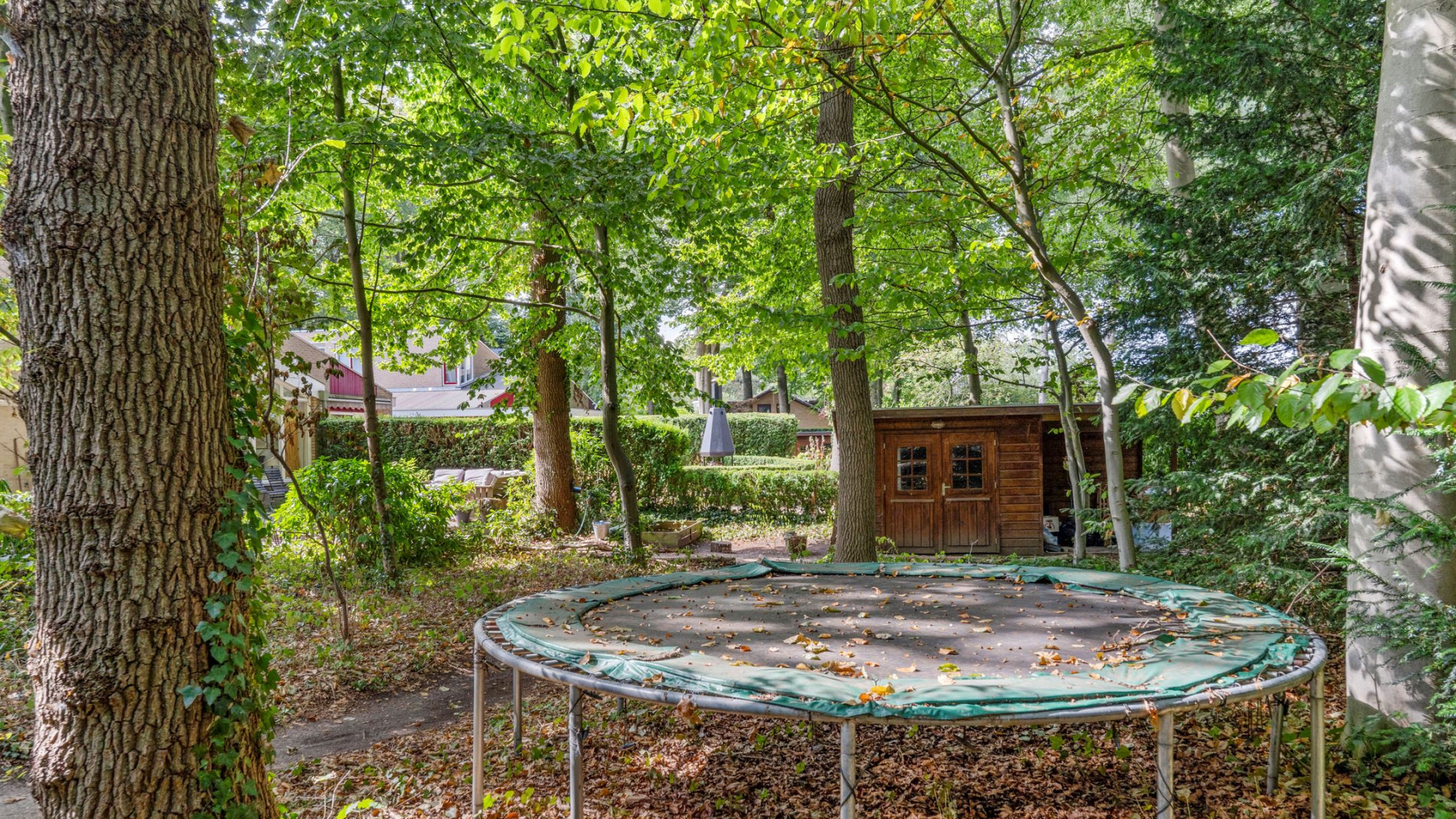 D'66 bobo Alexander Pechtold verkoopt zijn scheidings villa onder de vraagprijs, maar scoort paar ton euro winst. Zie foto's 4