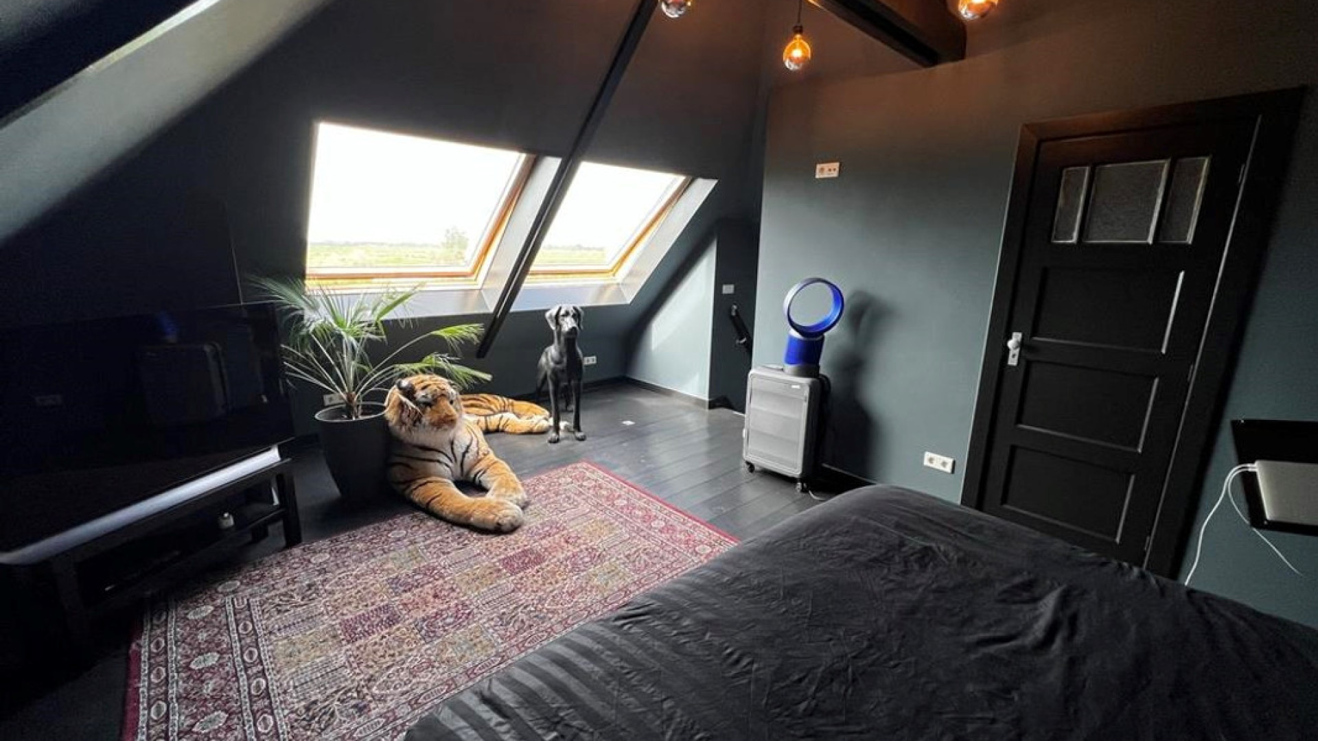 TV Kok Hugo Kennis van Eigen Huis en Tuin zet zijn leuke knusse woning in Oostzaan te koop. Zie foto's 14