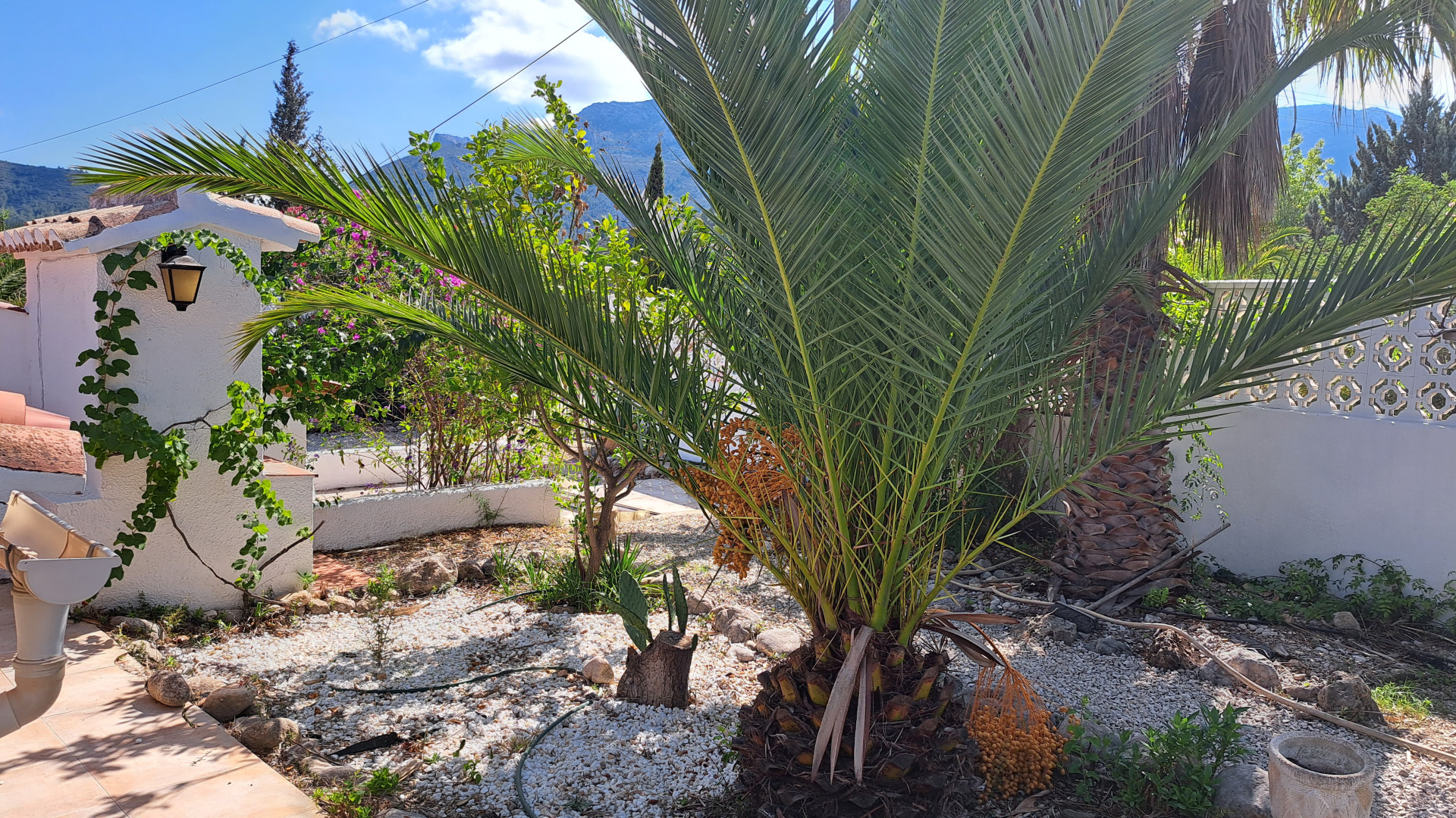 Bekendeburen heeft voor weinig geld dit leuke klushuis in Spanje te koop. Zie foto's 5