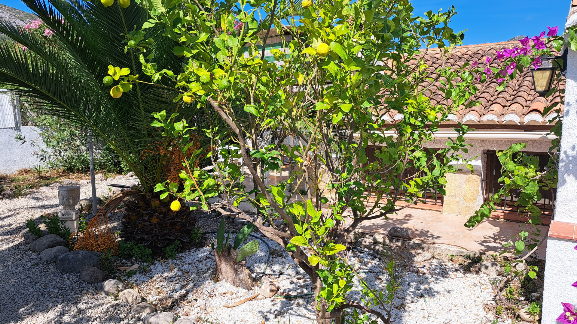 Bekendeburen heeft voor weinig geld dit leuke klushuis in Spanje te koop. Zie foto's 8