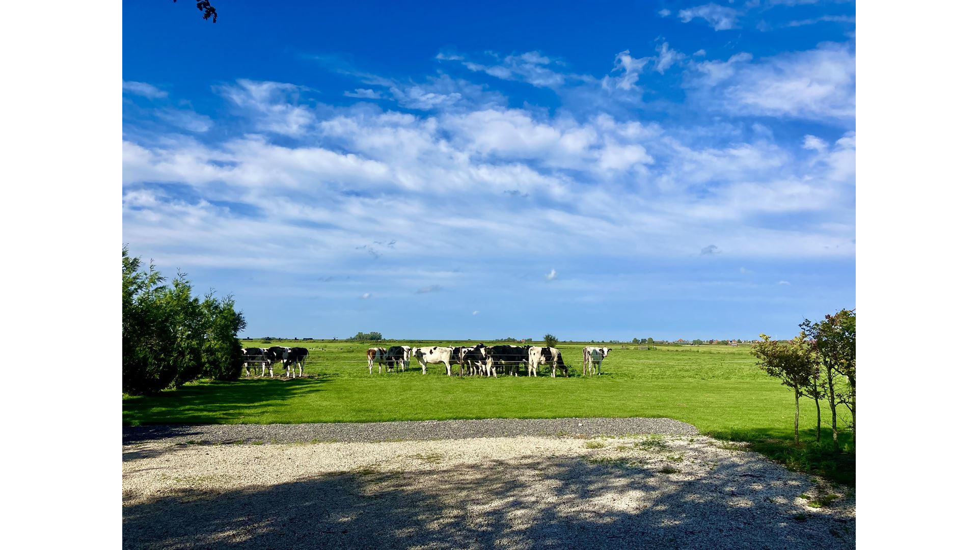 TV presentator Marc Klein Essink zet zijn prachtige woonboerderij met uitzicht op Markermeer te koop. Zie foto's 19