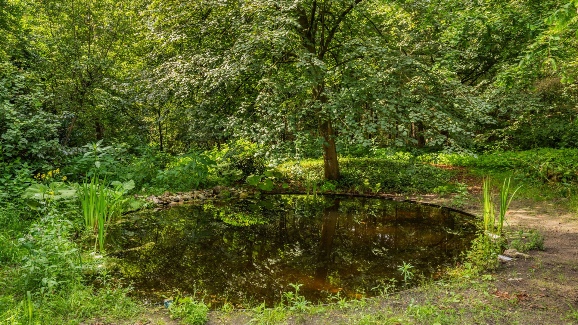 Arjen Lubach koopt dit miljoenen optrekje in Soest met o.a. een prive bos. Zie de foto's 9