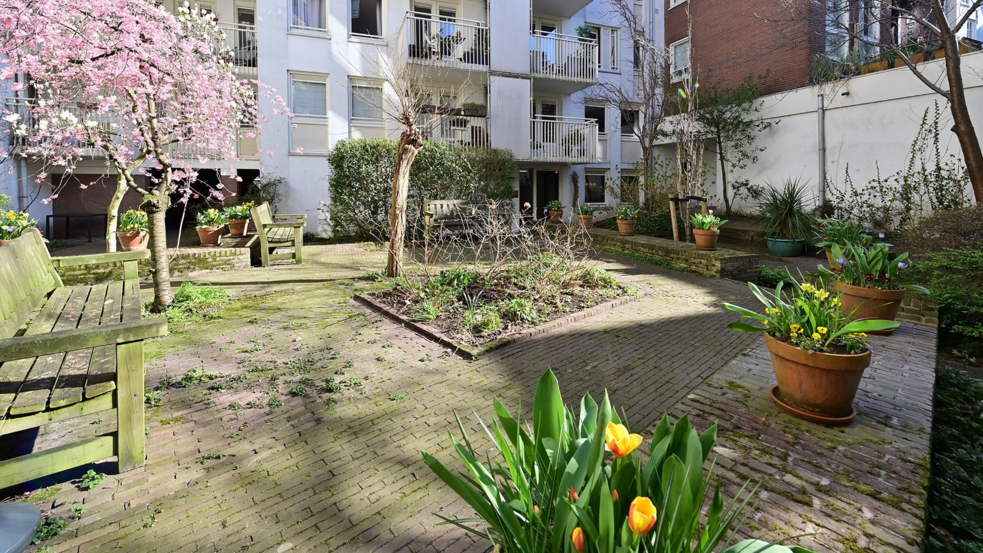 Kijkcijferdeskundige Tina Nijkamp verkoopt haar onrendabele grachtenappartement. Zie foto's 11