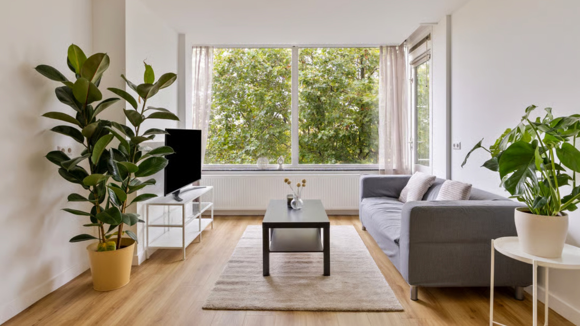 Khalid Kasem, gevallen advocaat en co-producent van de Hanslers zet zijn appartement te koop. Zie foto’s 3