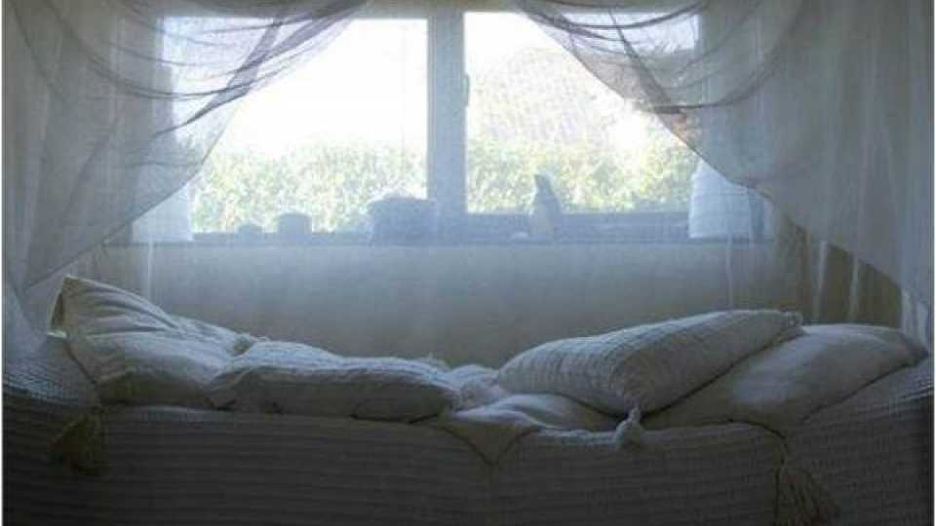 Dit is de villa van Jaap Reesema die straks Oekraïense vluchtelingen als buren heeft. Zie foto's 9