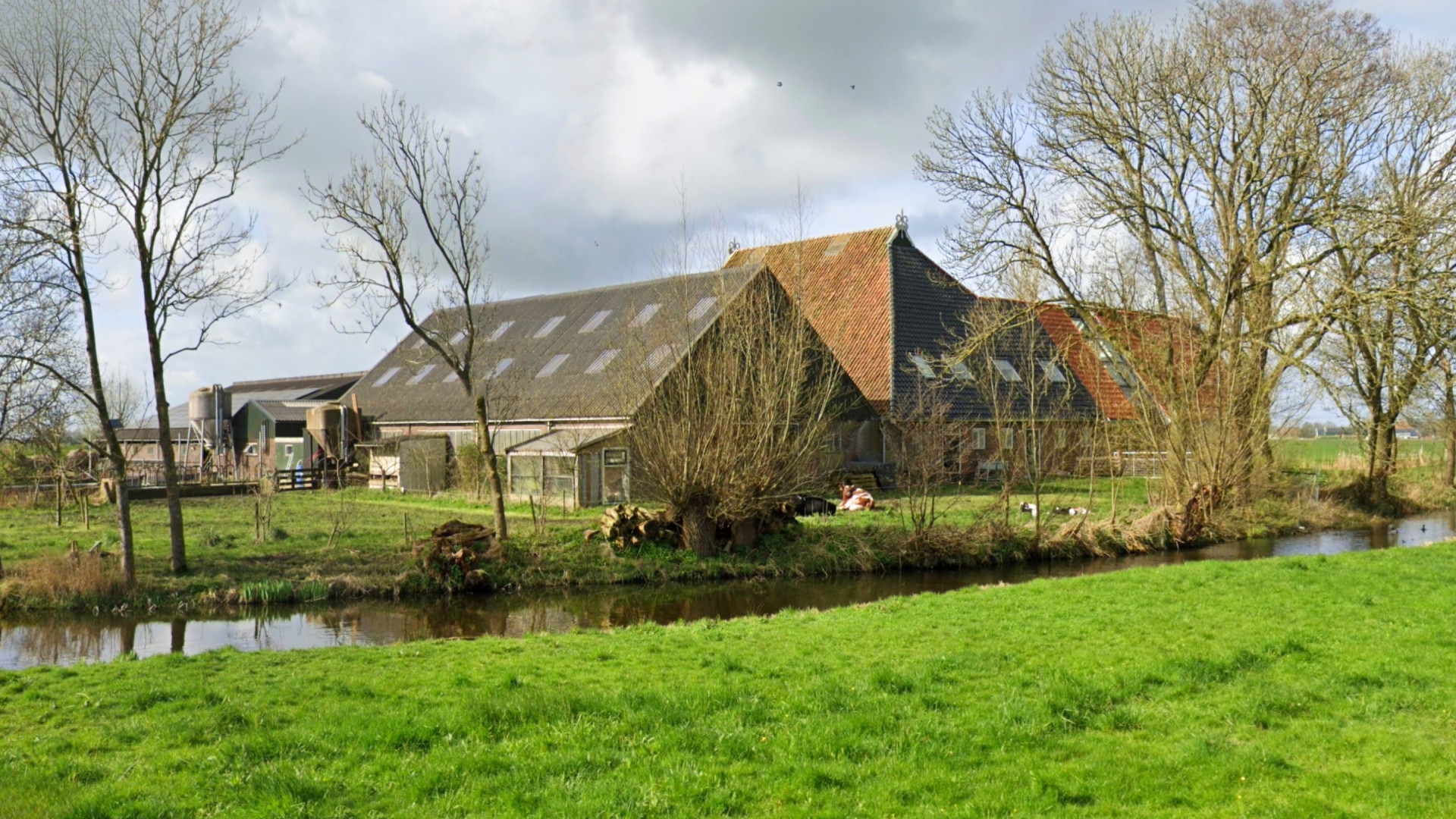 Op deze boerderij gaan de Meilandjes aan de slag! Zie foto's 2