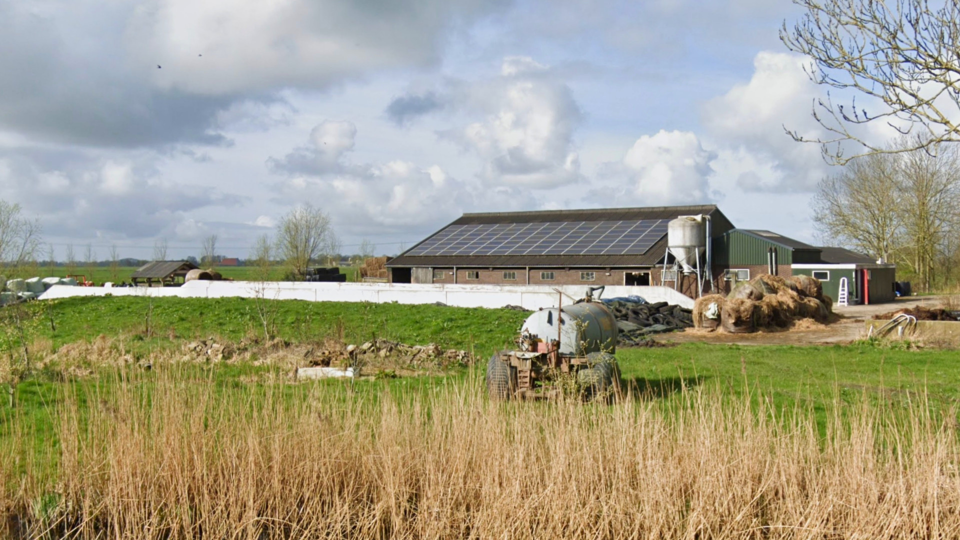 Op deze boerderij gaan de Meilandjes aan de slag! Zie foto's 7