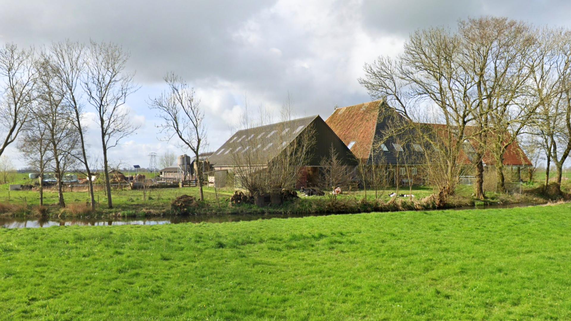 Op deze boerderij gaan de Meilandjes aan de slag! Zie foto's 8