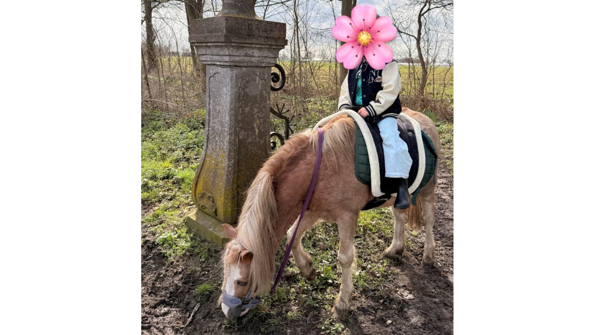 Maxime Meiland verkoopt pony van dochter Claire na valpartij! Zie foto's 5