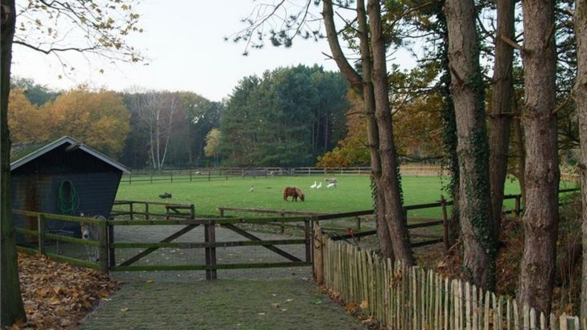 Vraagprijs villa Henny Huisman keldert met meer dan half miljoen! 32