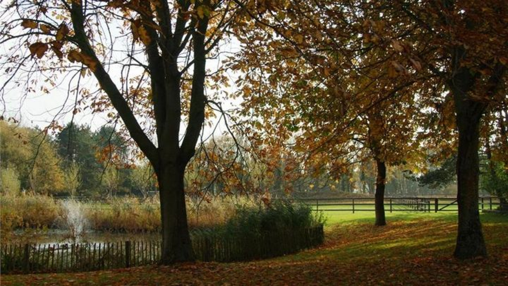 Vraagprijs villa Henny Huisman keldert met meer dan half miljoen! 4