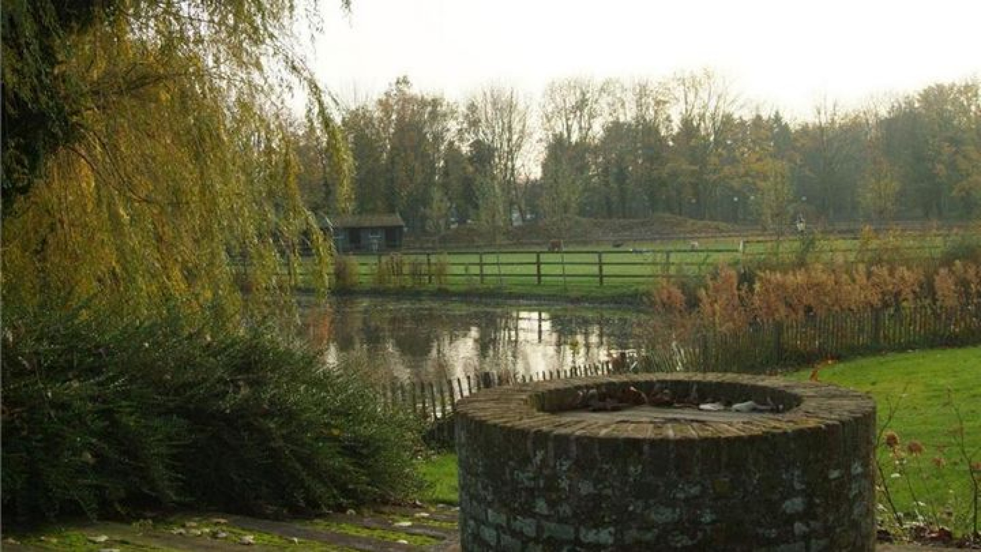 Henny Huisman verlaagt vraagprijs van zijn villa drastisch! 5