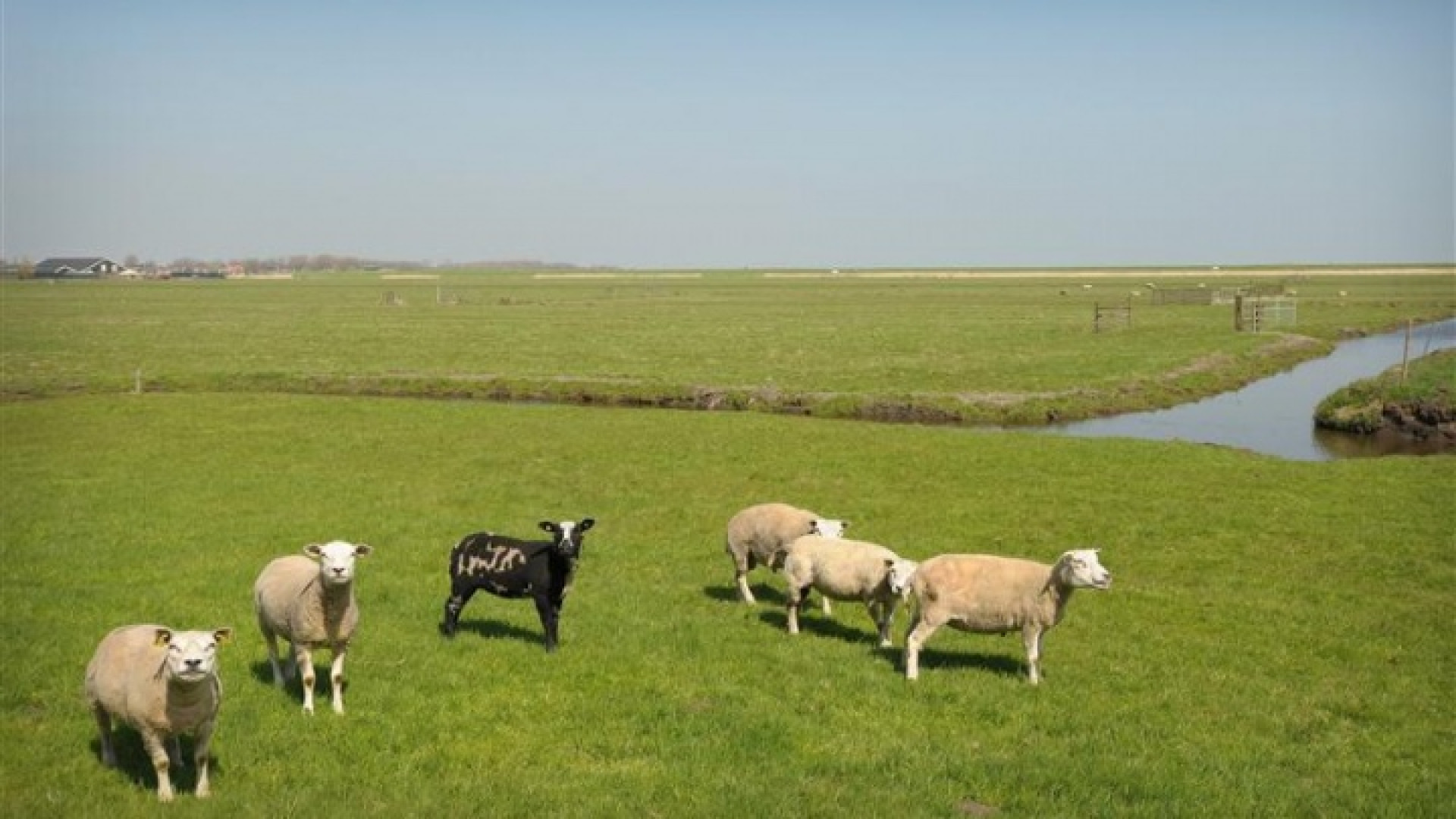 Gouden Kalf winnaar Peter Paul Muller verbouwde deze boerderij grotendeels met eigen handen. Zie foto's 11