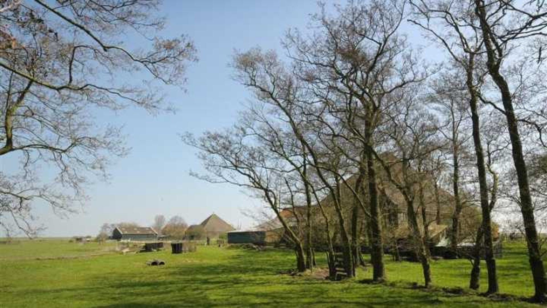 Gouden Kalf winnaar Peter Paul Muller verbouwde deze boerderij grotendeels met eigen handen. Zie foto's