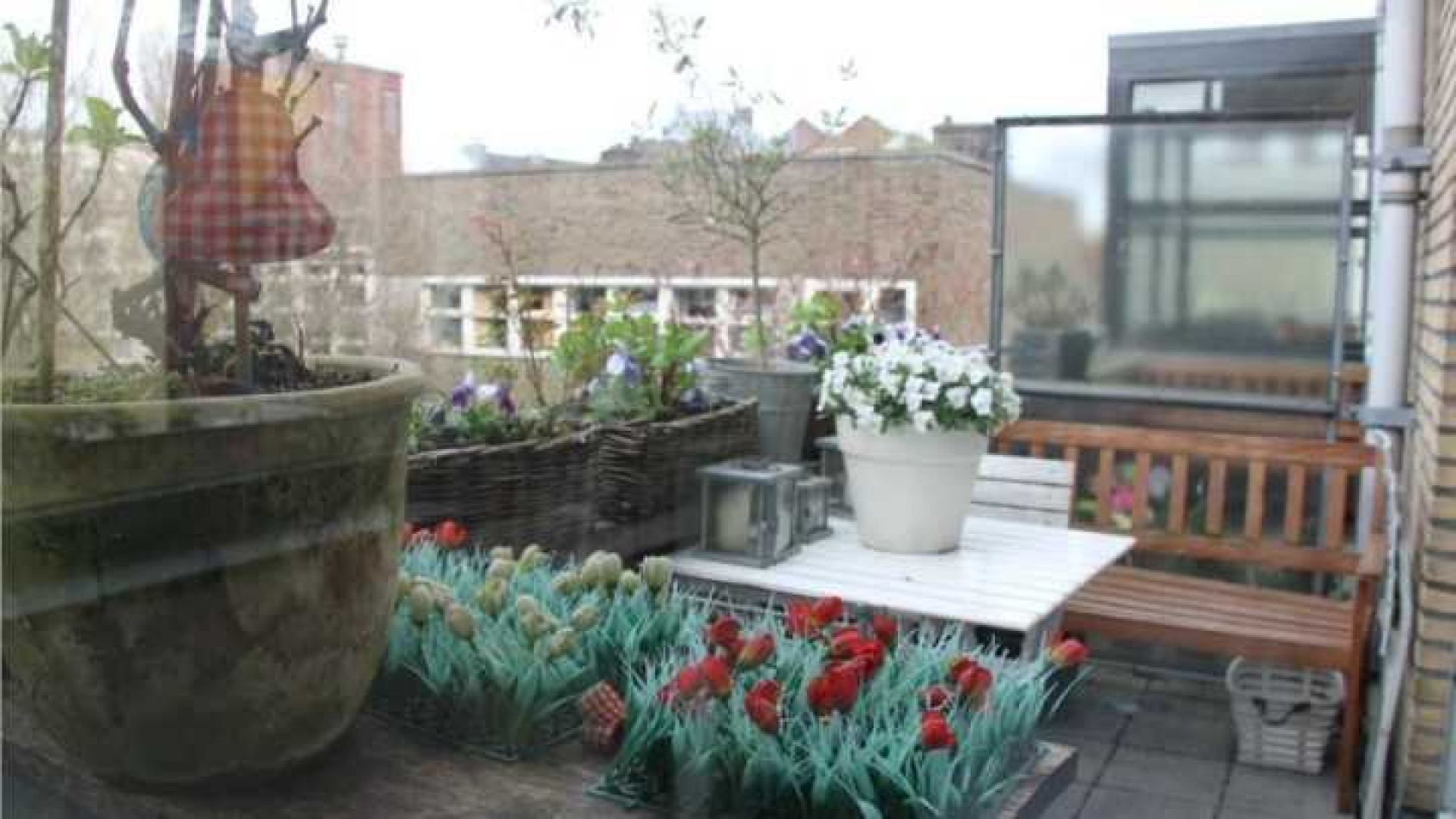 Frank Evenblij verkoopt zijn huis in de Jordaan met fors verlies. Zie foto's  8