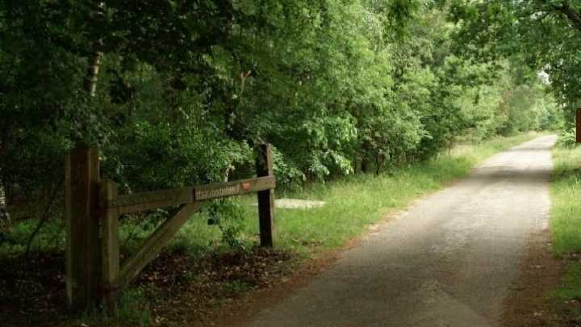 Jan de Hoop koopt zijn droomstekkie op de Veluwe. Zie foto's 21