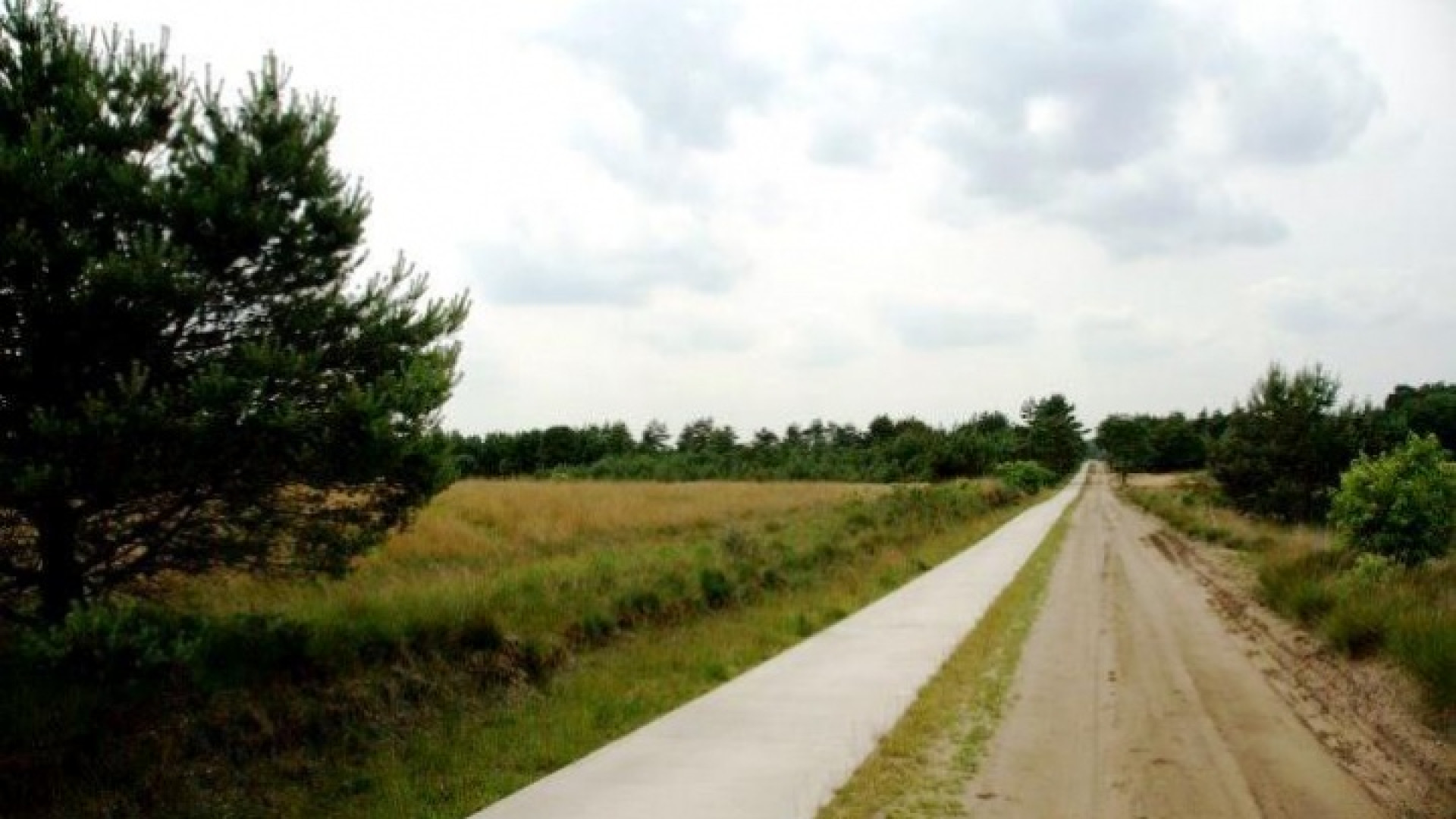 Jan de Hoop koopt zijn droomstekkie op de Veluwe. Zie foto's 7