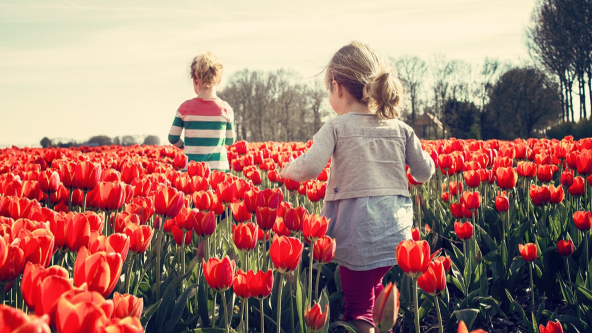 Nicolette Kluijver en kinderen terug in Nederland