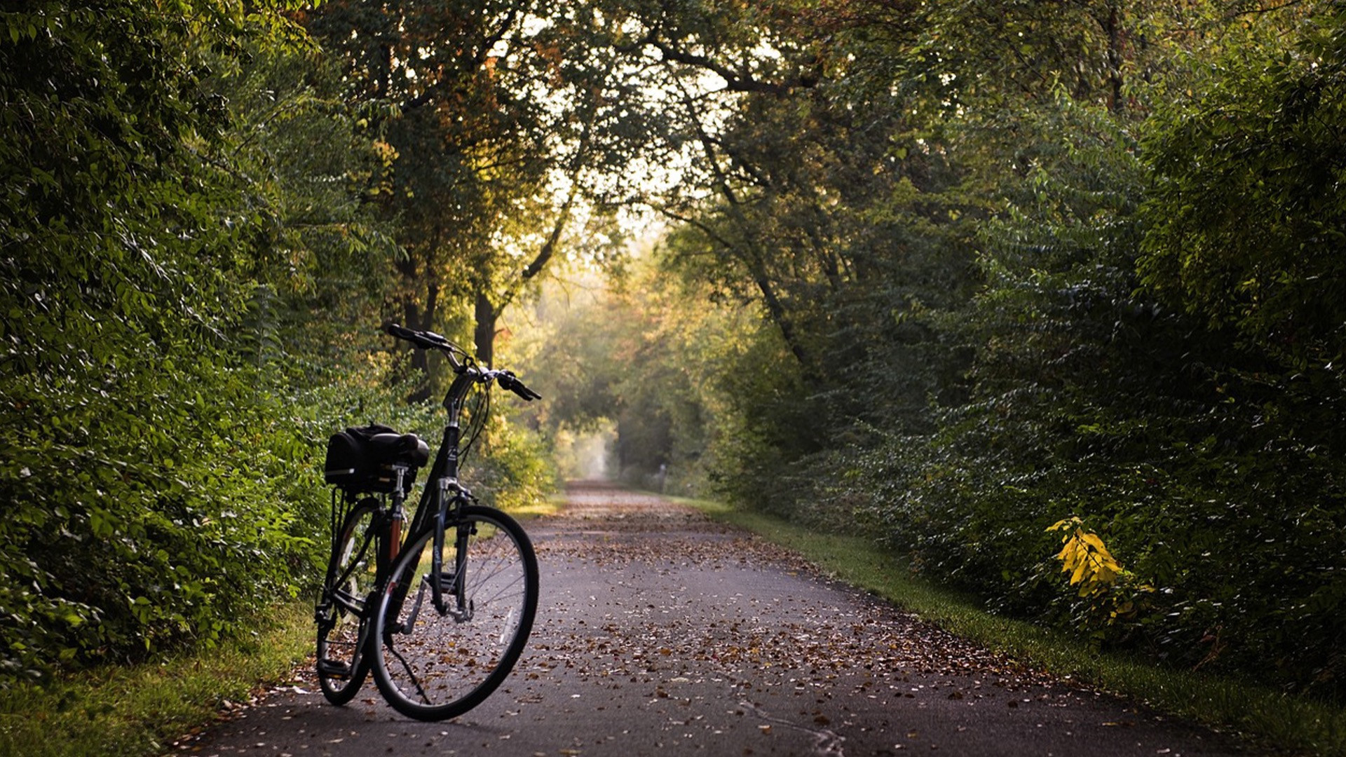 De fiets: hét vervoermiddel, ook voor BN’ers