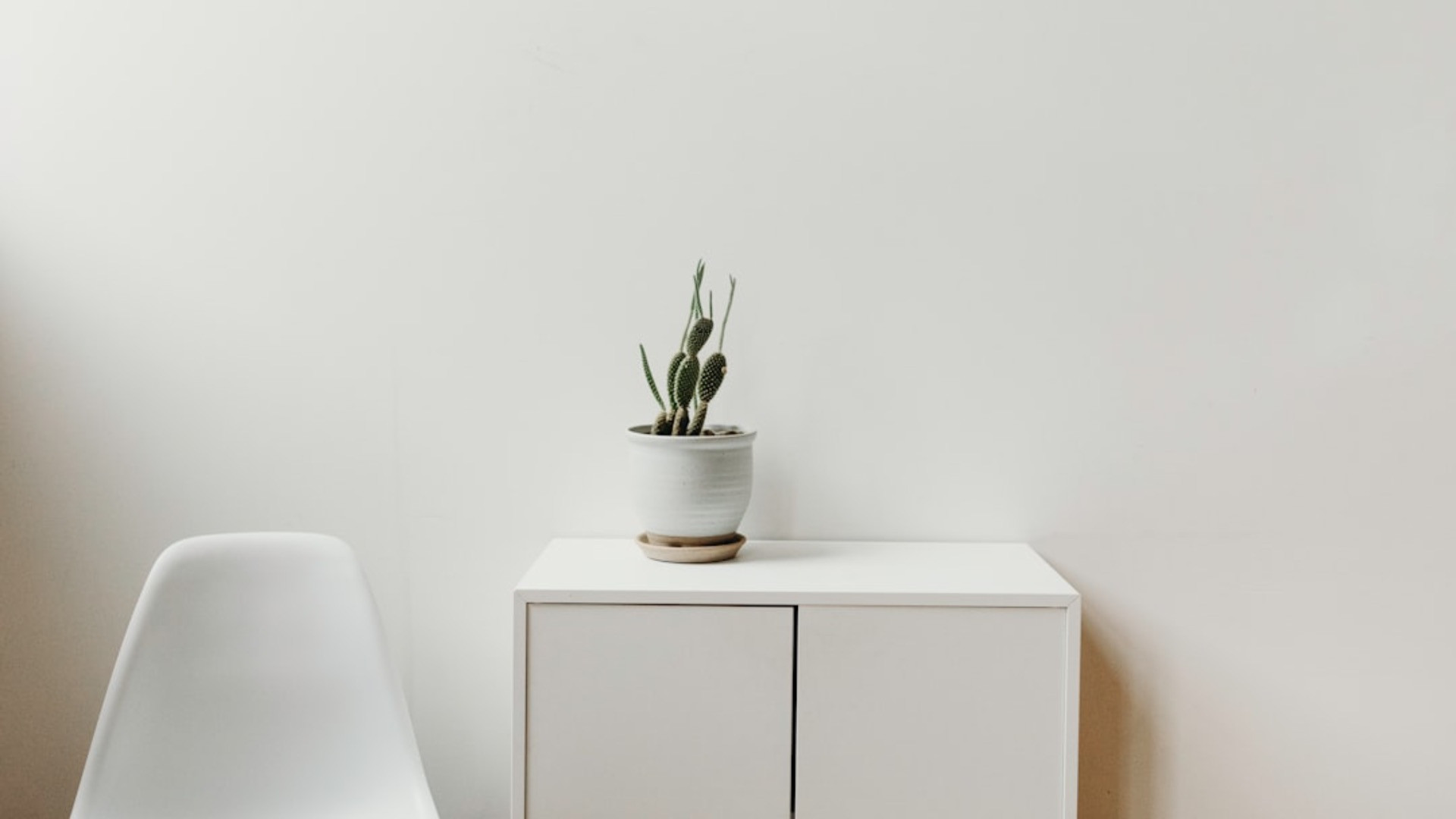 Muur make-over: de mooiste afwerkingen met behang, verf en structuur