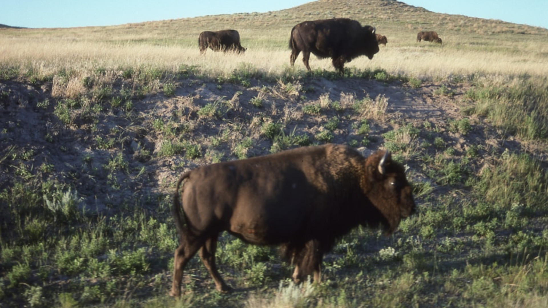 Van Expeditie Robinson naar de bank: deze realitysterren vervelen zich nooit thuis