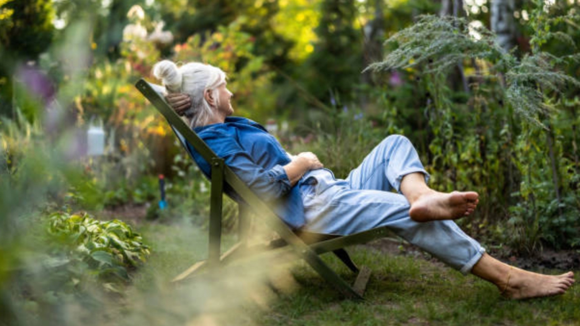 Duurzaam wonen: 5 BN’ers die hun woning groener maakten – en nadenken over de toekomst met een thuisbatterij