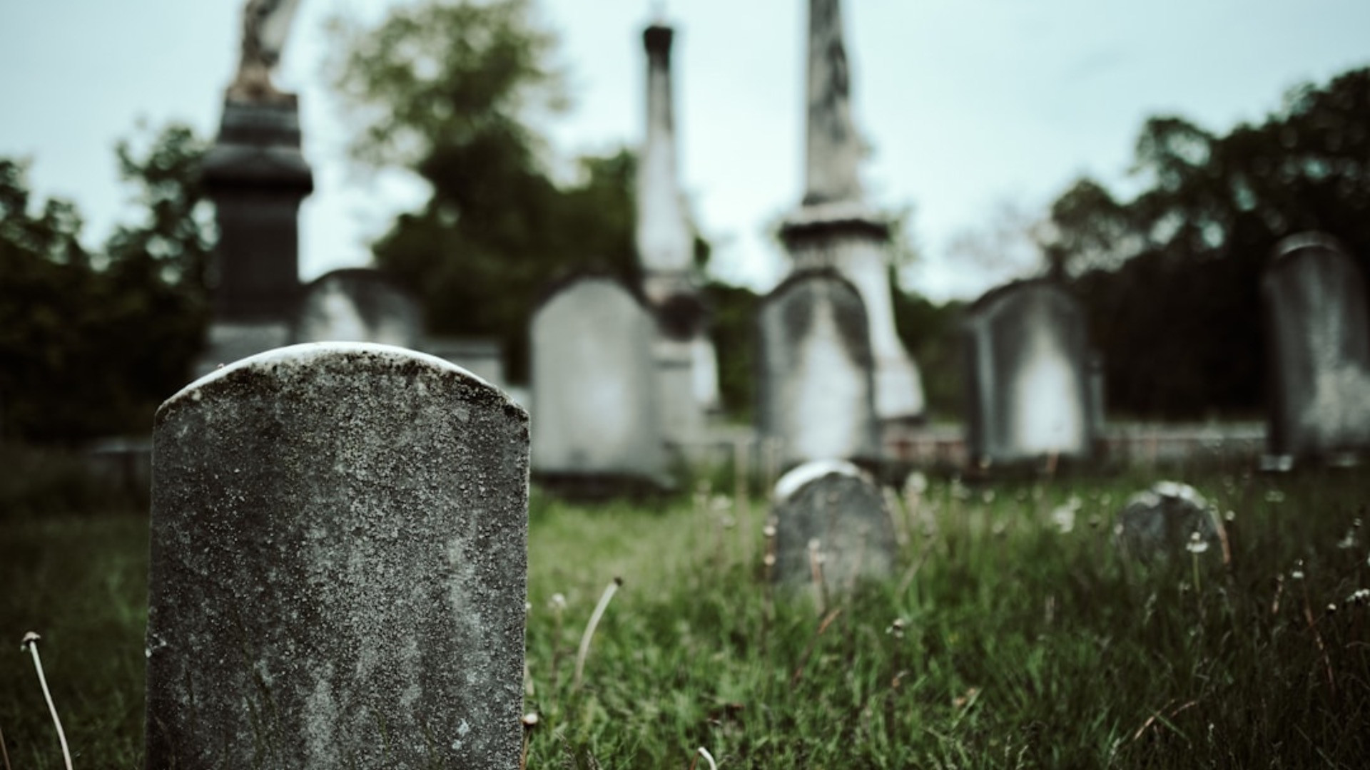 Kozen overleden BN'ers in 2025 veel voor natuursteen als grafsteen?